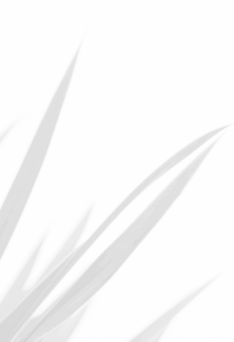 Generic