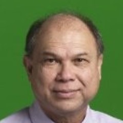Roy Van Broekhuizen