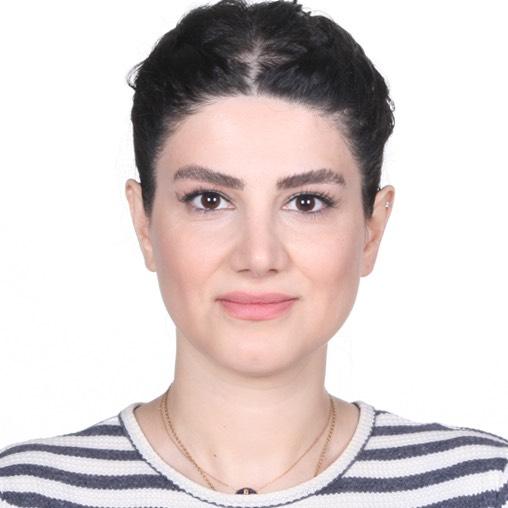 SHAHNOOSH M KHAH