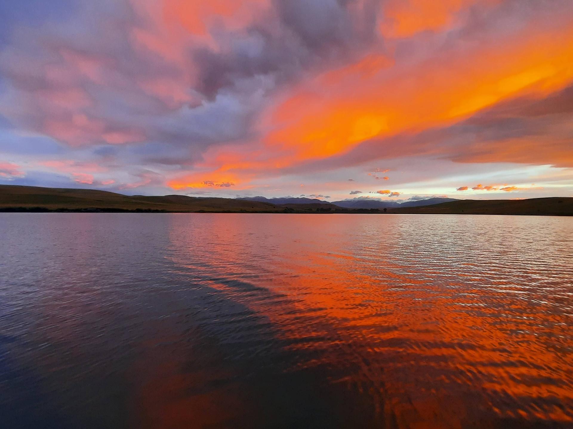 web