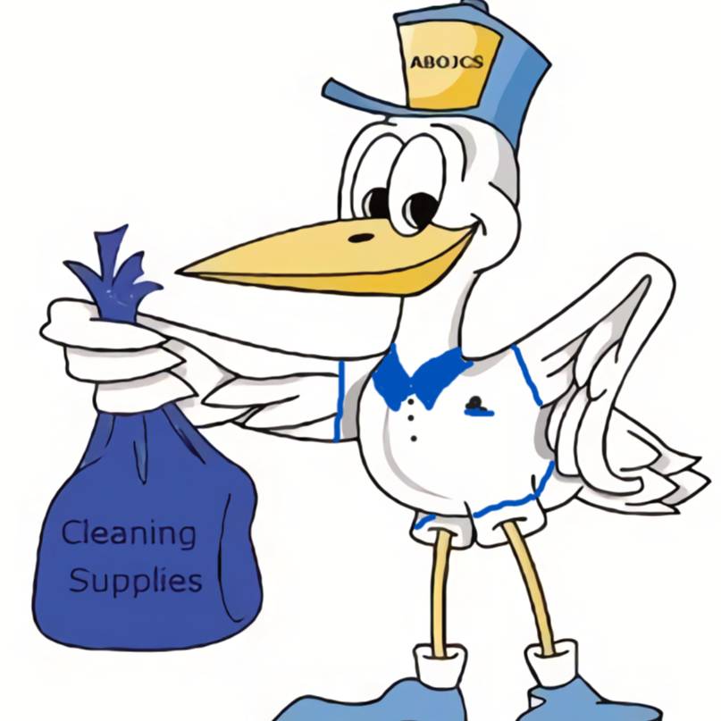 A BUNDLE OF JOY CLEANING SERVICES LLC SHAUNE LEE, OWNER