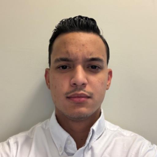 Andres David Briceno Leites