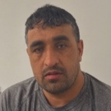 Dost Mohammad Totakhil