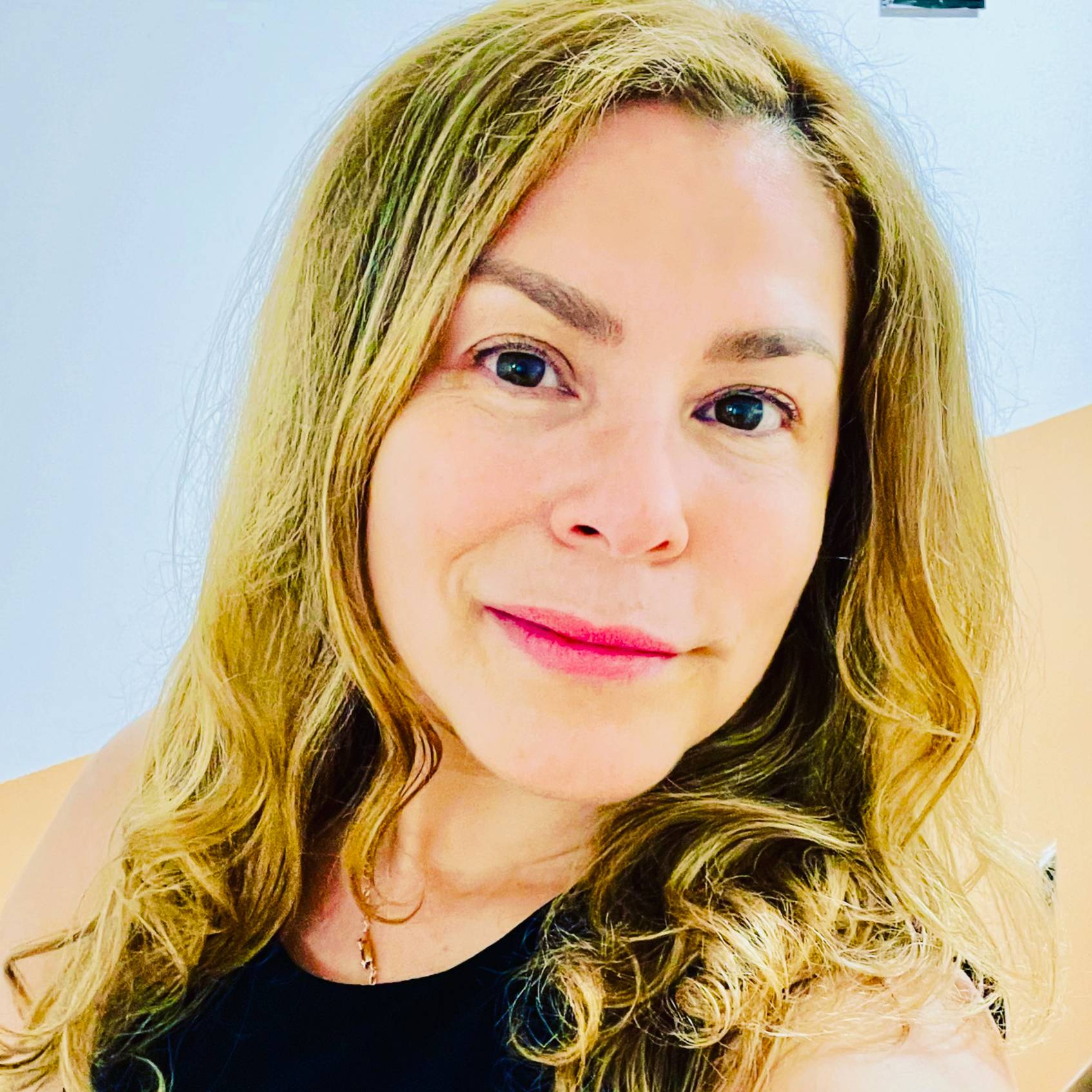 Monica H Vaccaro