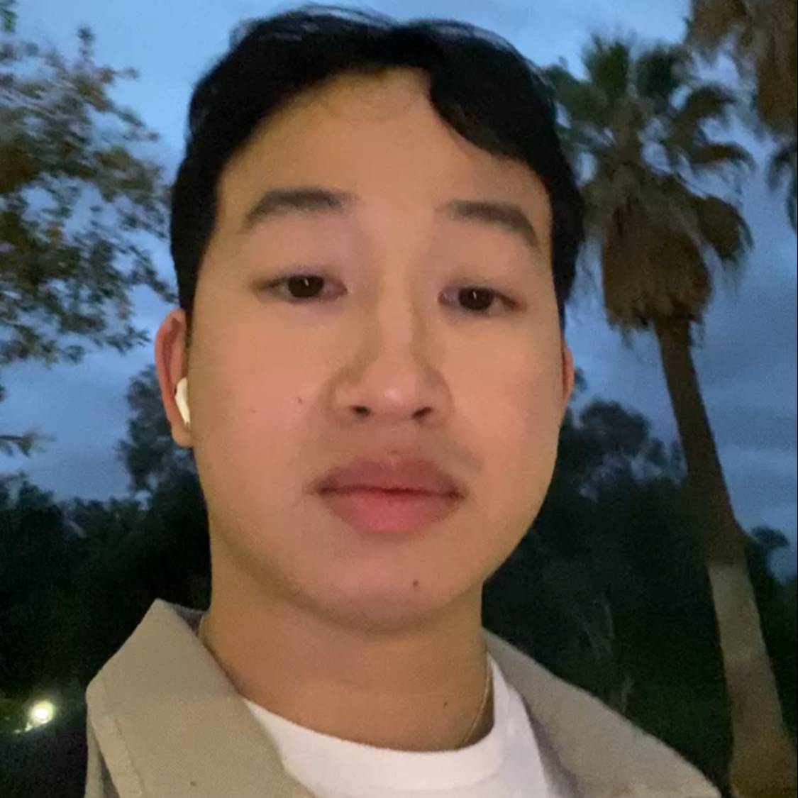 JOAKIM H. NGUYEN