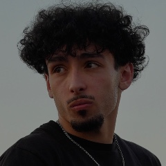 Ammar Alnajjar