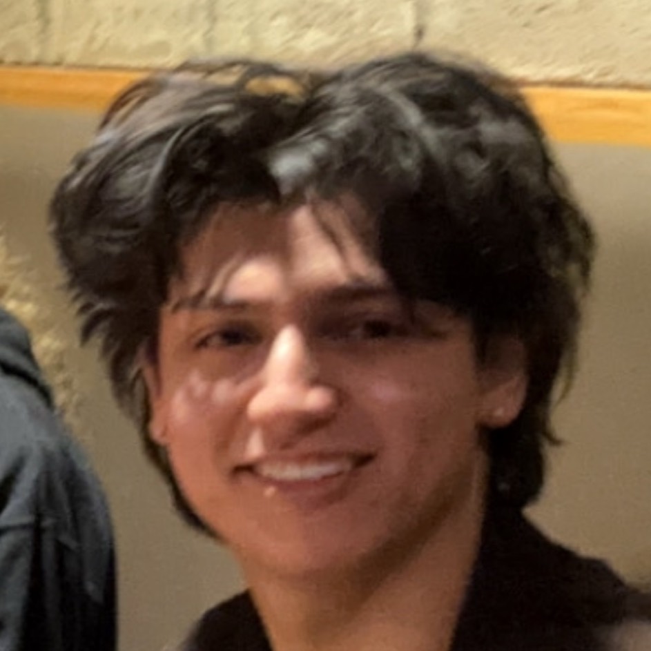 Talin Parisi