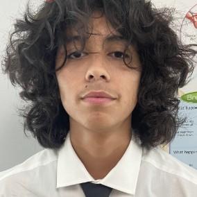 SHAWN MENDIOLA