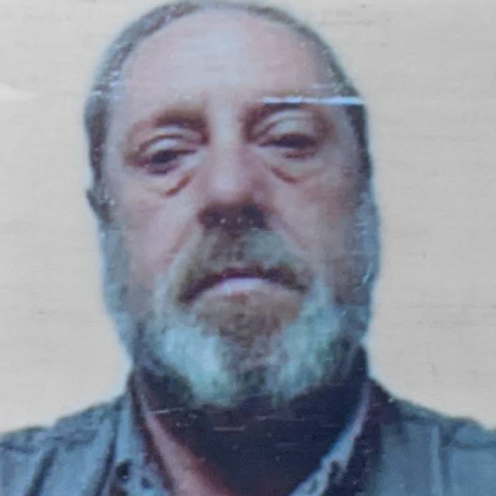 William H Wilkins