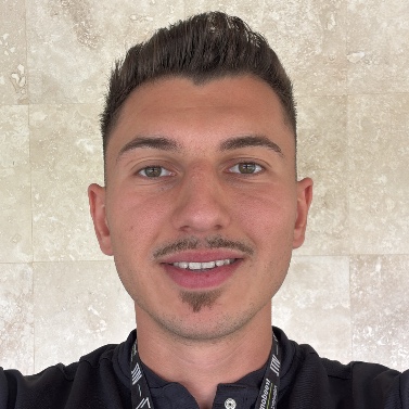 David Verzea