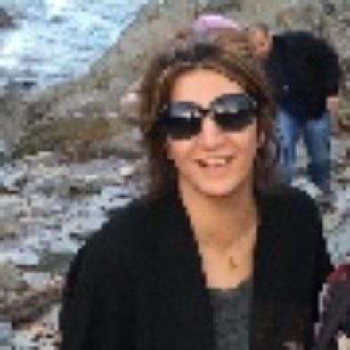 Sara Salajegheh