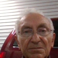 Ahmed M Elnigoumi