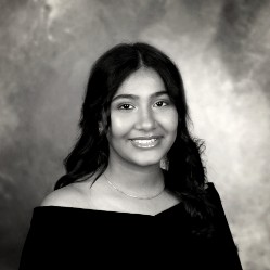 RAMAN DHILLON