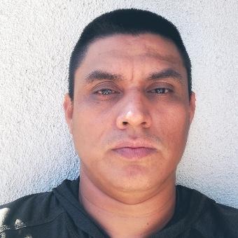 Luis Navarrete