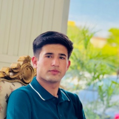 Muhammad Zain Ul Abideen