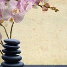 Kat Shea Healing Arts