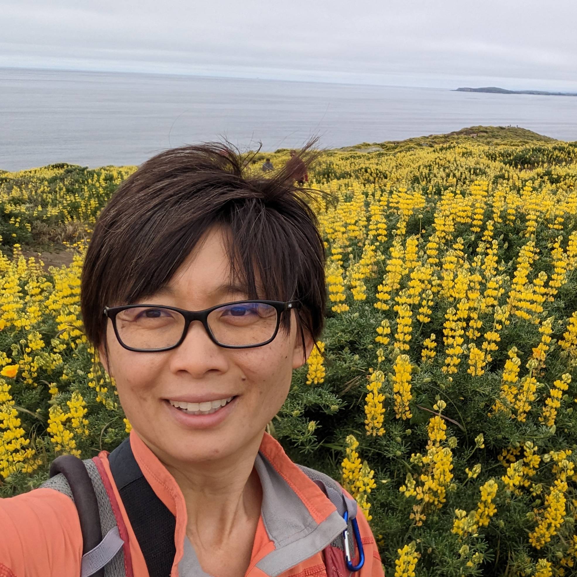 Xiaojing (Paula) Sun