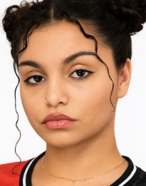 Wilneliz Landestoy