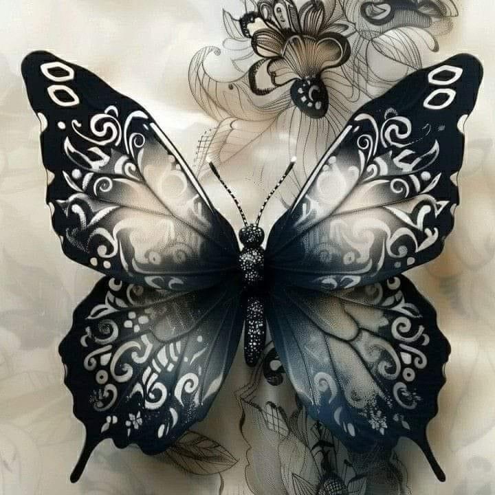 Erin Wardrip