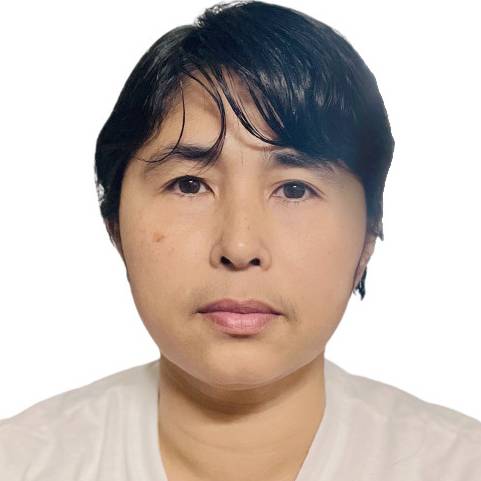 Tin Nyunt