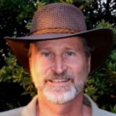 David Bill