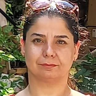 Fatemeh Shafiei