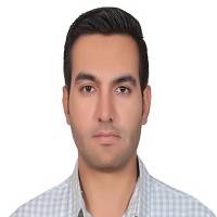 Hamidreza Aminorroayaei