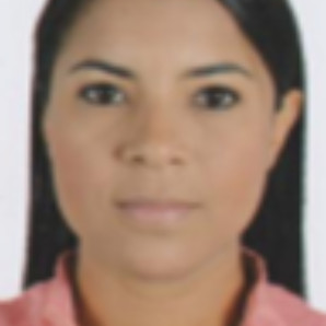 DIGNA C ARREGOCES MOISES