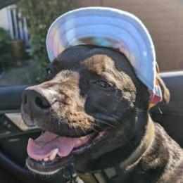 Chester Medcalf