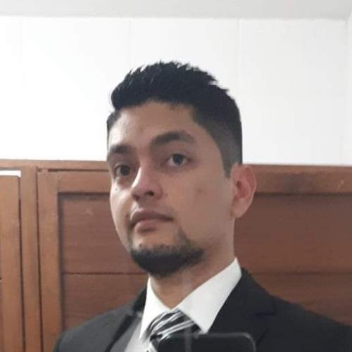 Luis M Valdivia Oceguera