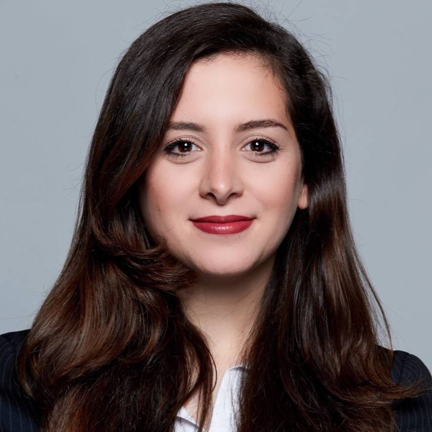 Nafiseh Mirnia
