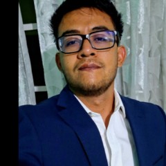 EDGAR GONZALO ORTIZ VARGAS