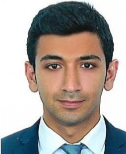HASAN MAHMOUD RIZK
