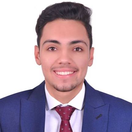 Mohamed Fawzy Abdelaziz Badawy