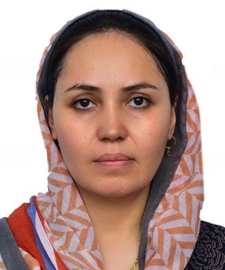 Toba Sidiqi