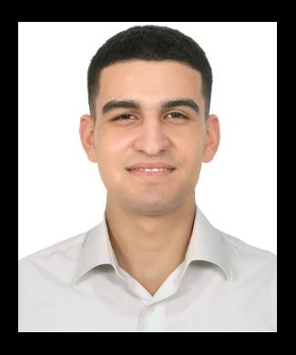 Louay Mahmoud