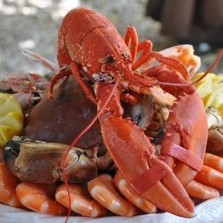 Crawfish House & Grill, LLC