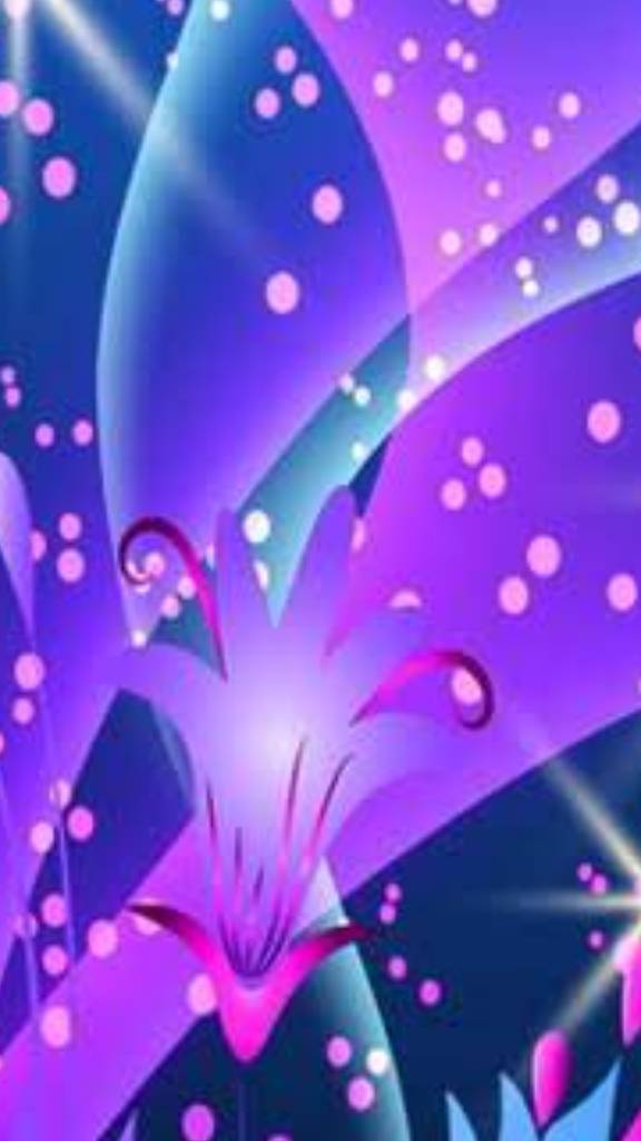 web