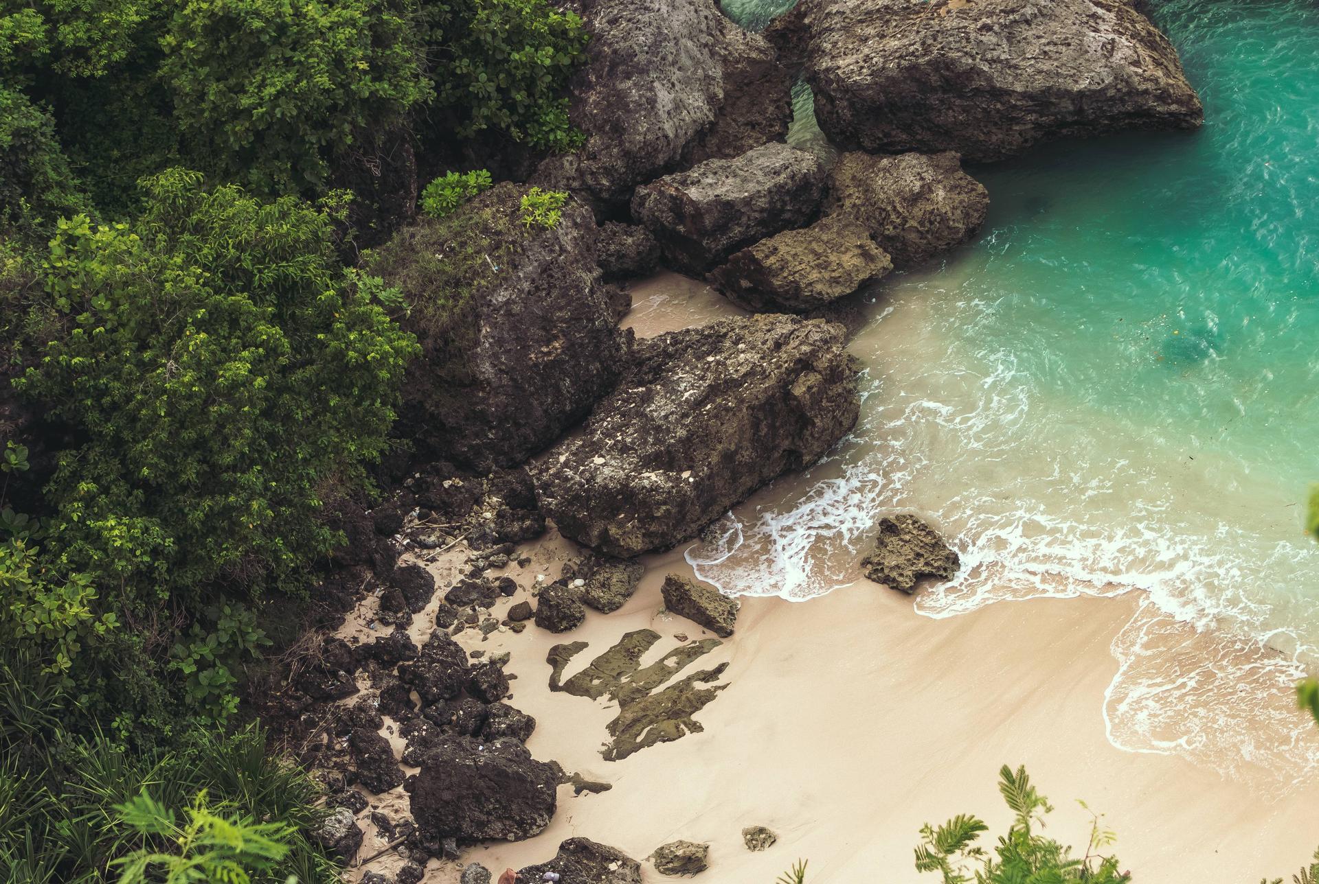 Featured preview