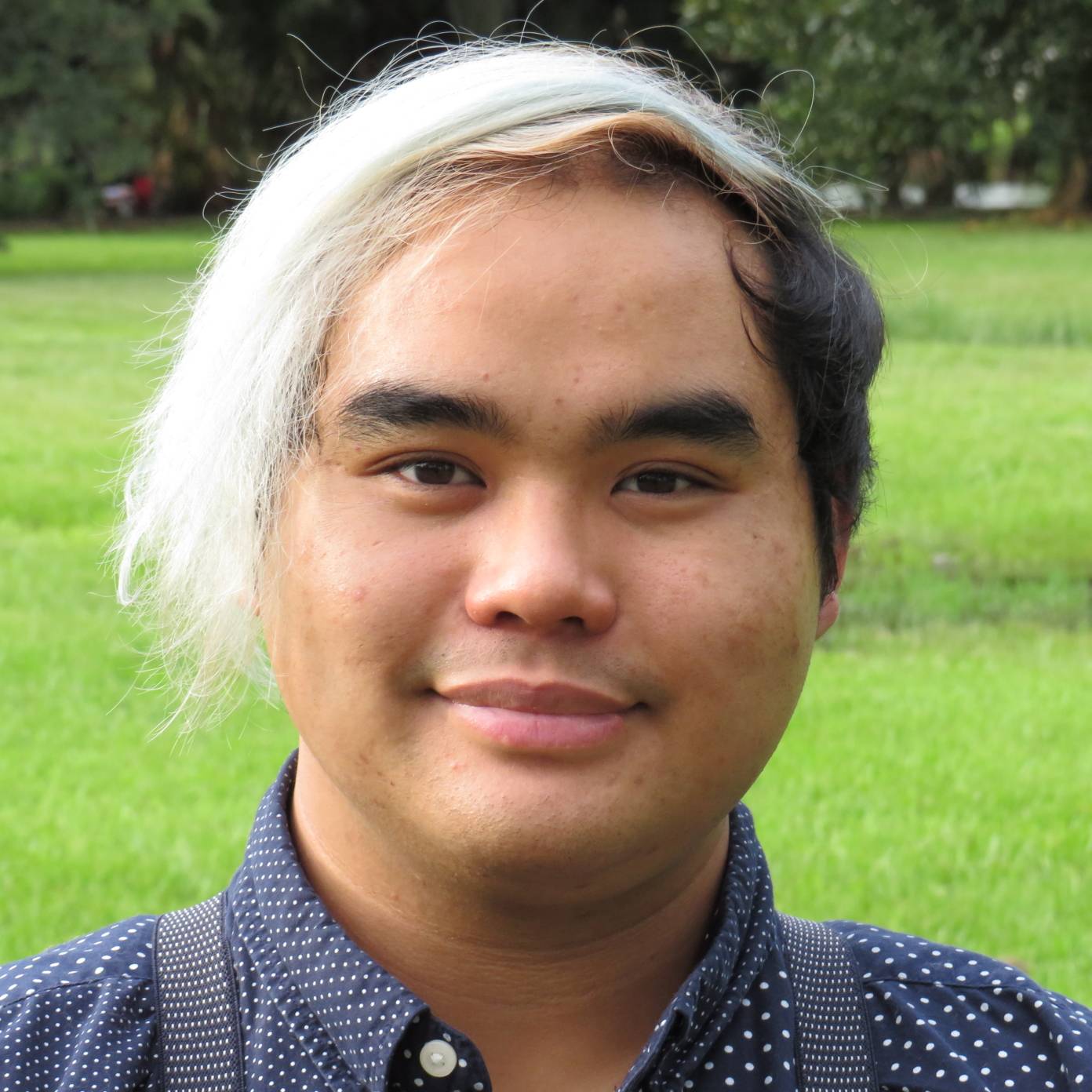 Hung Bui