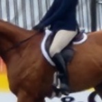 Sara Banca