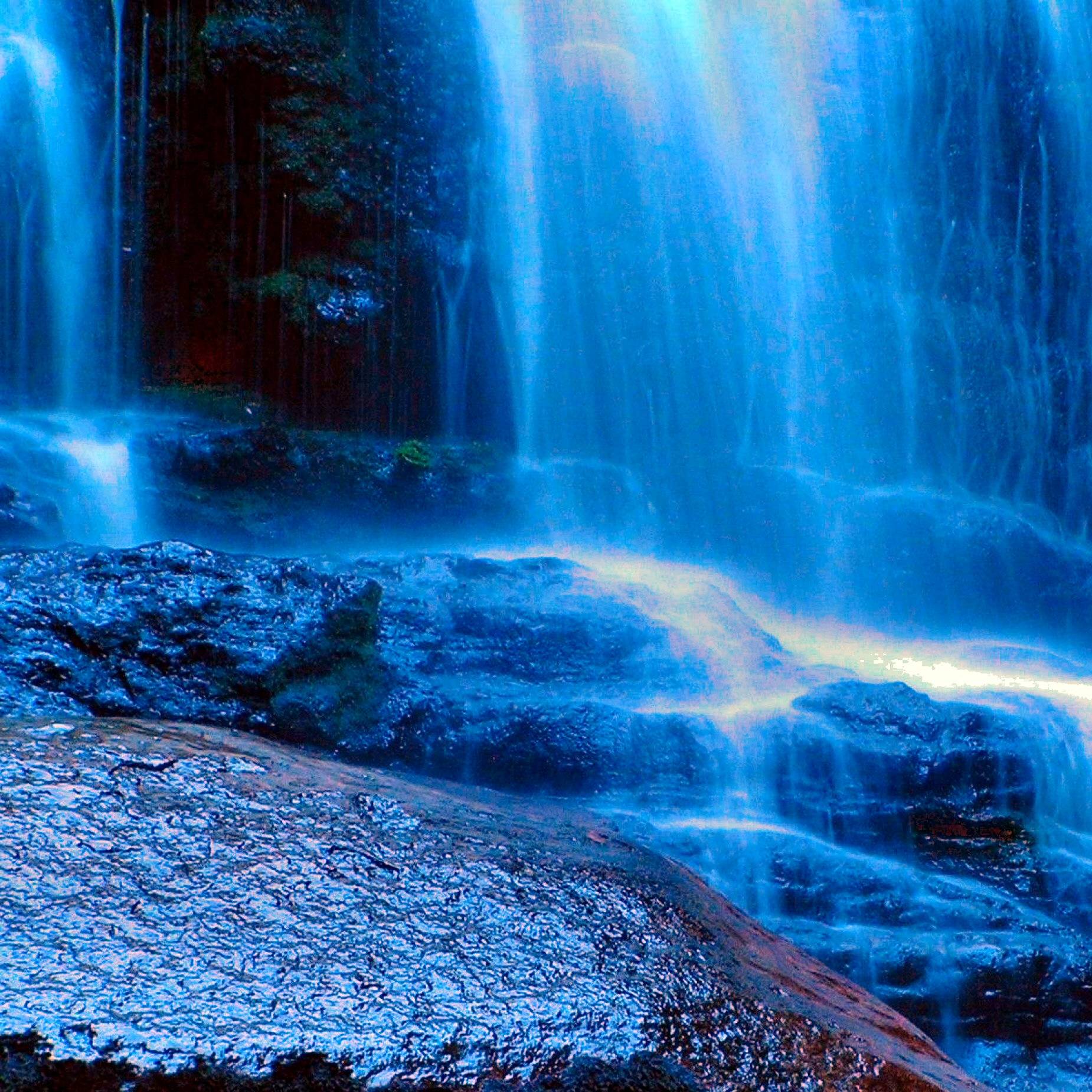 Ronesia Washington