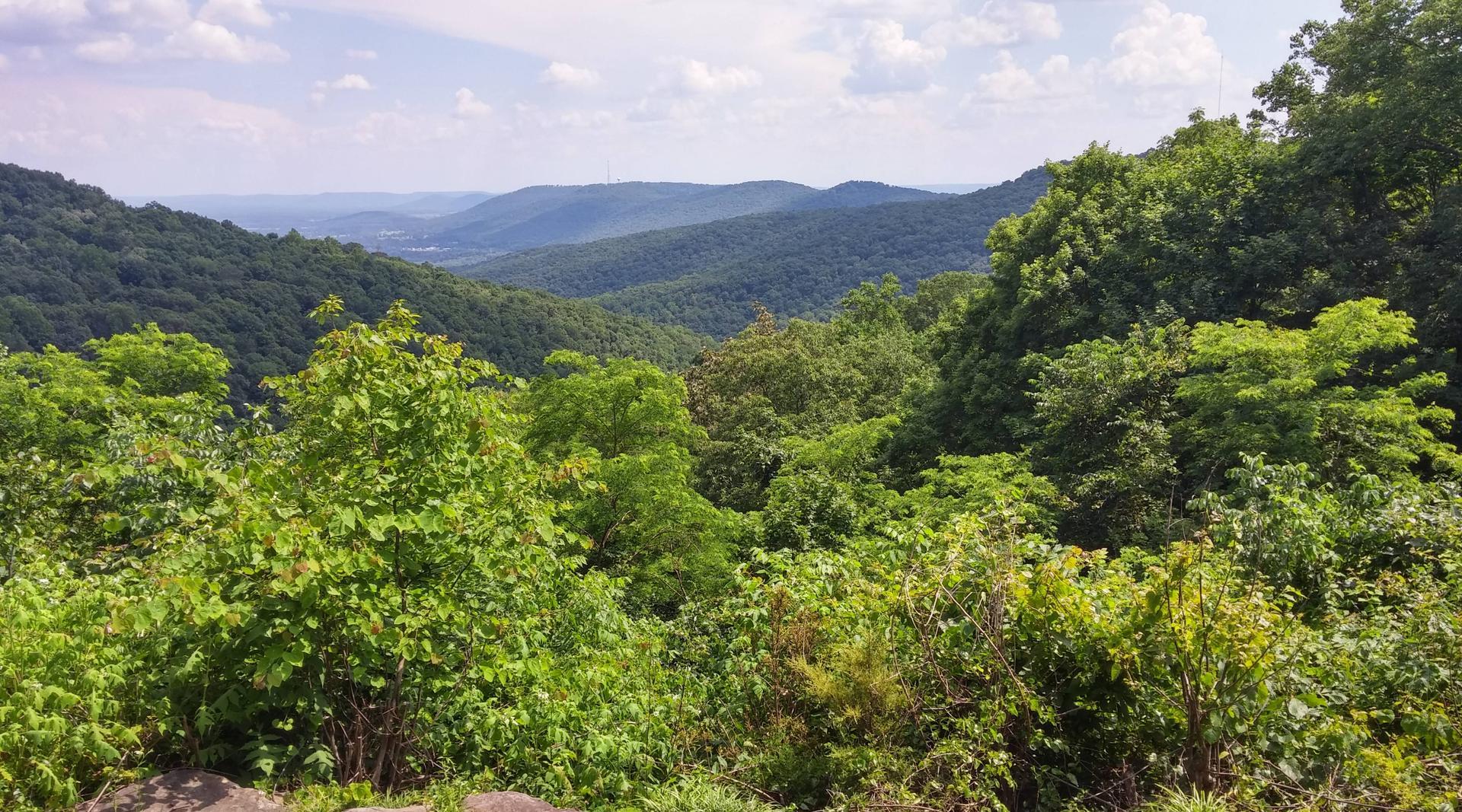 web