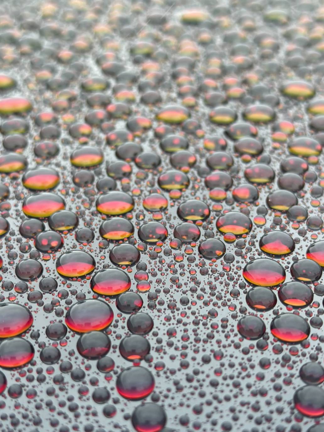 web