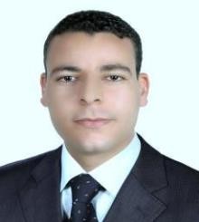 Mohamed Chewki Laloui