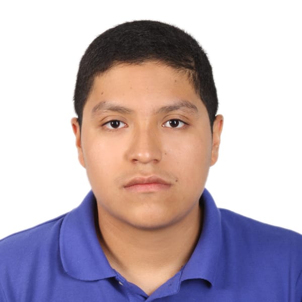 Sebastian Alexis Santamaria Flores