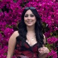 Paola Zepeda-Partida