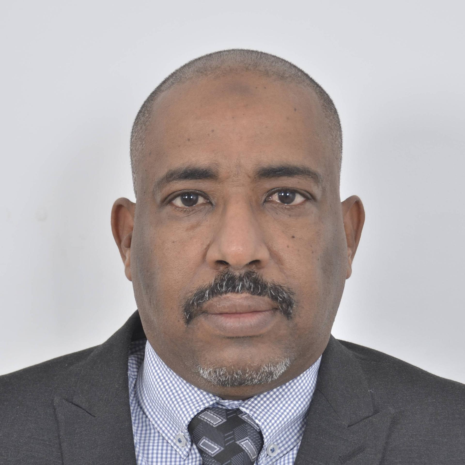 Mamoun Elrashid Hussien