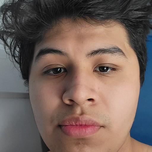 Hostin Solis