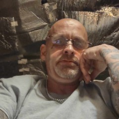 David York